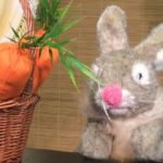 Drôle de lapin