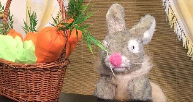 Drôle de lapin