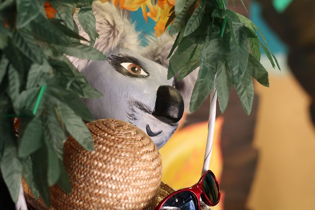 le koala dans les feuillages