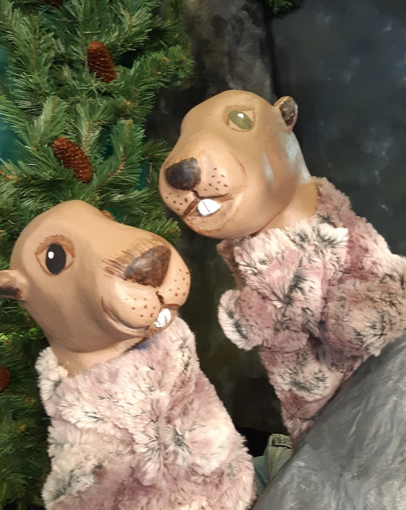 marmottes